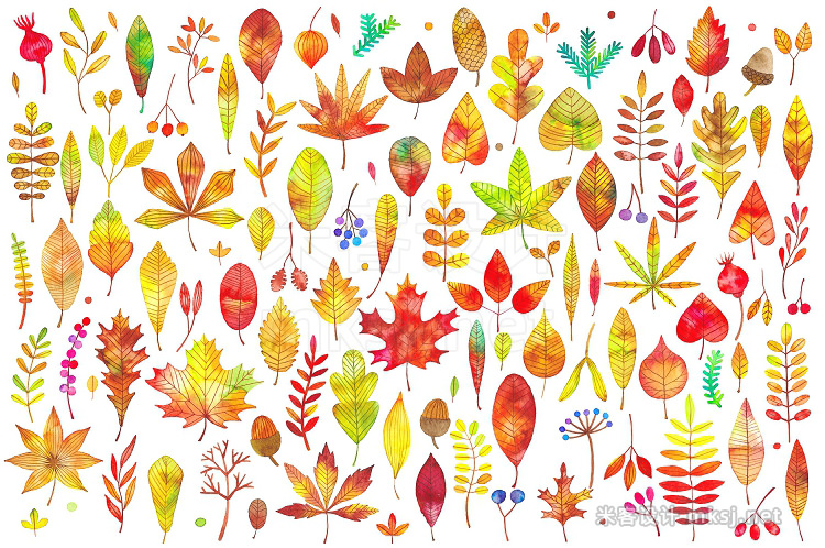 png素材 Watercolor autumn fall leaves