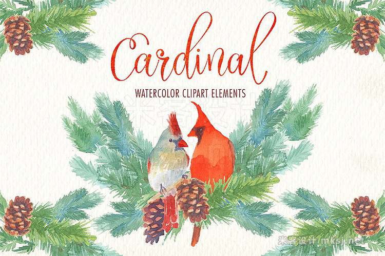 png素材 Cardinal bird watercolor clipart set