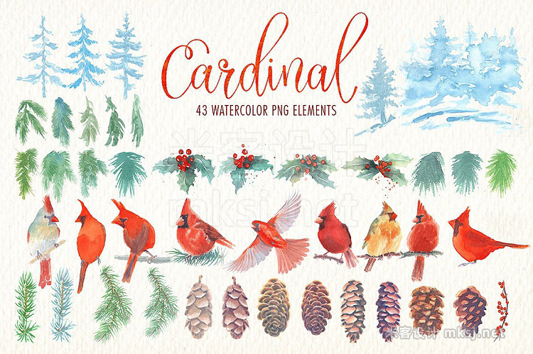 png素材 Cardinal bird watercolor clipart set