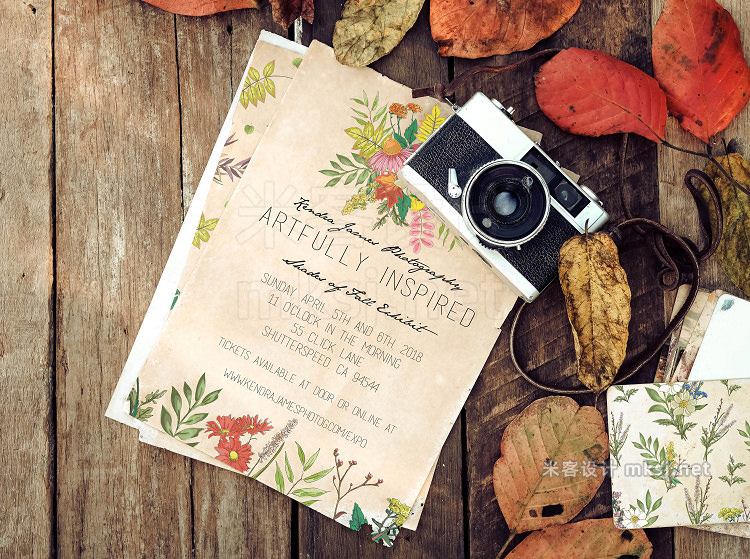 png素材 Autumn Wildflower Graphic Set