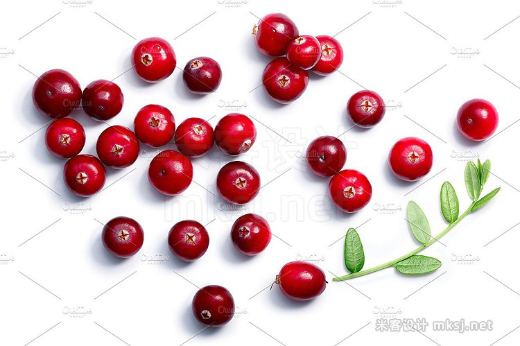 png素材 Cranberries from above
