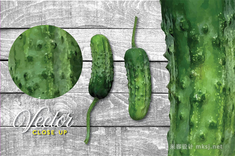 png素材 Pickle Vector - Botanic Specimens