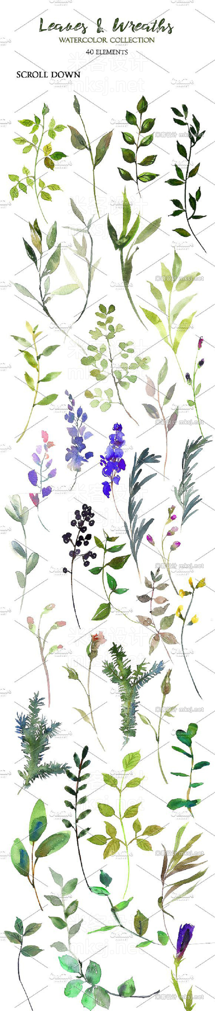 png素材 Spring Foliage Watercolor Bundle