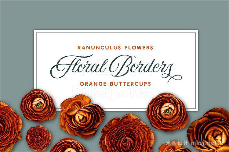 png素材 Ranunculus Borders and ClipArt