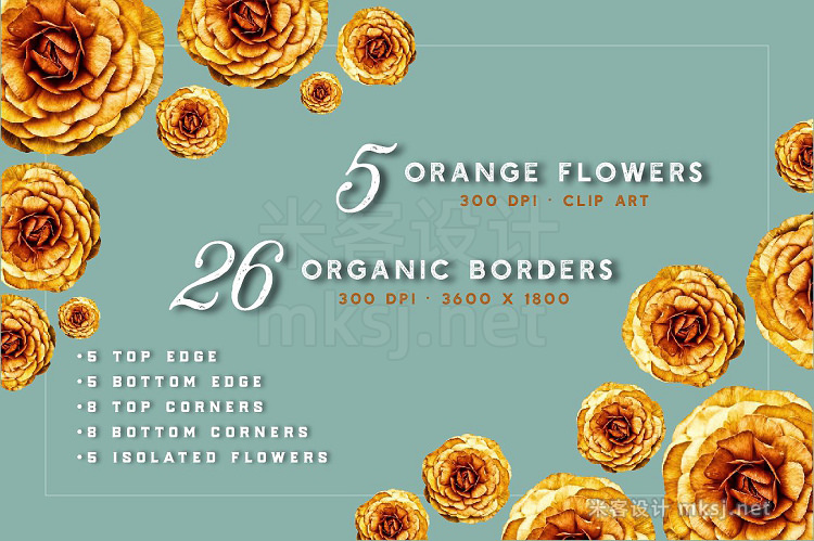 png素材 Ranunculus Borders and ClipArt