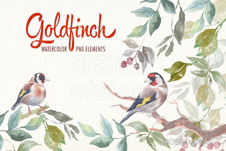 png素材 Watercolor goldfinch bird clipart