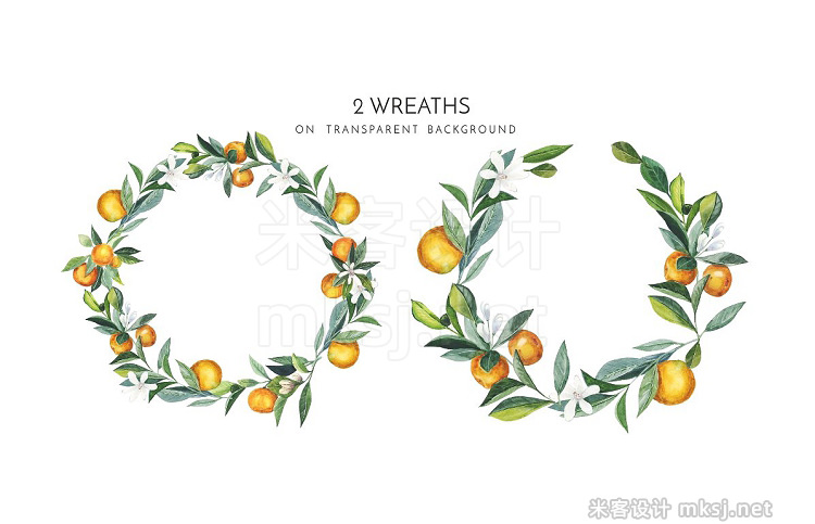 png素材 Watercolor branch tangerine