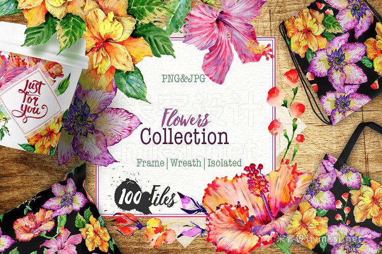 png素材 Hibiscus PNG watercolor flower set
