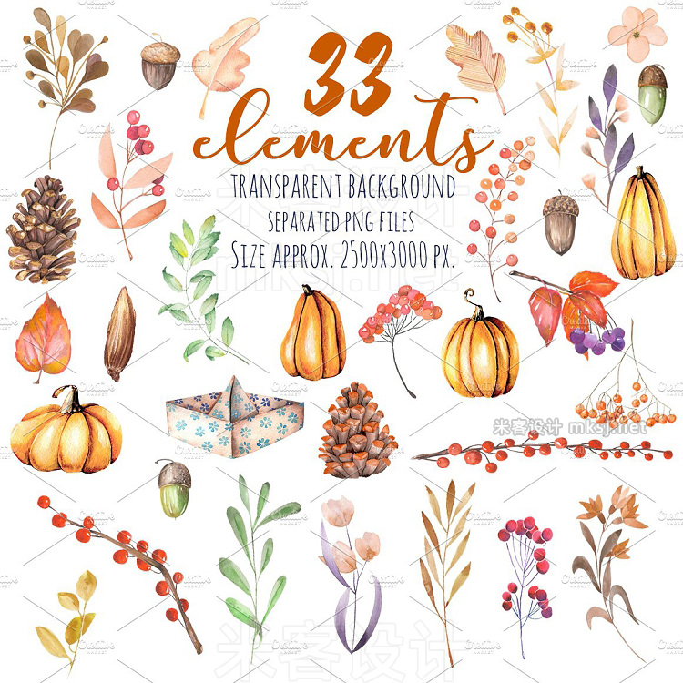 png素材 Autumn Floral 33 elements