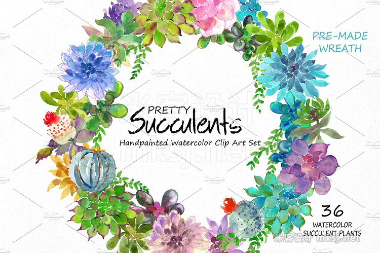 png素材 Pretty Succulents- Watercolor