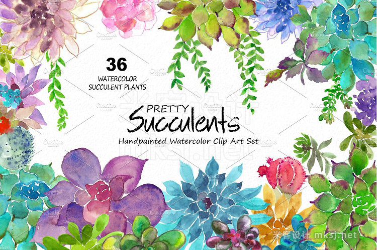 png素材 Pretty Succulents- Watercolor