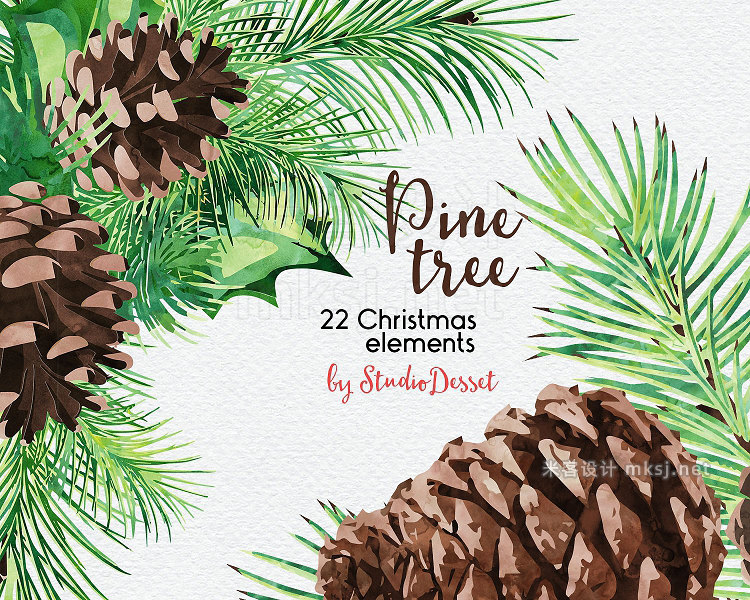 png素材 Pine Tree