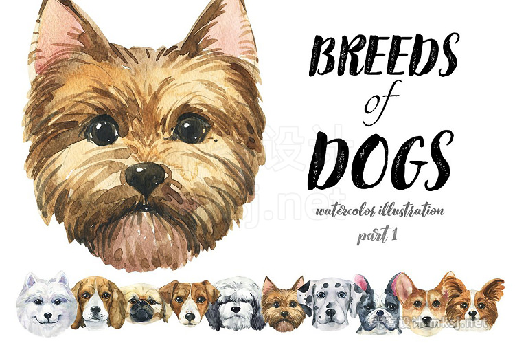 png素材 Breeds of dogs - watercolor Part 1
