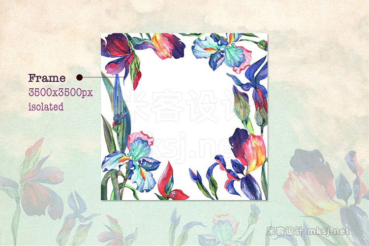 png素材 Irises PNG watercolor flower set
