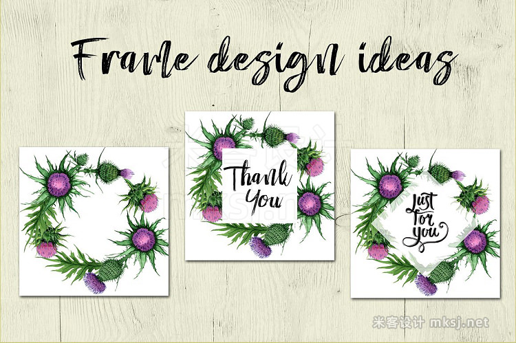 png素材 Thistle flowers PNG watercolor set