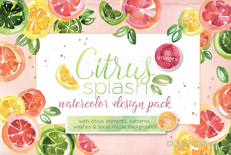 png素材 Citrus Watercolor Pack