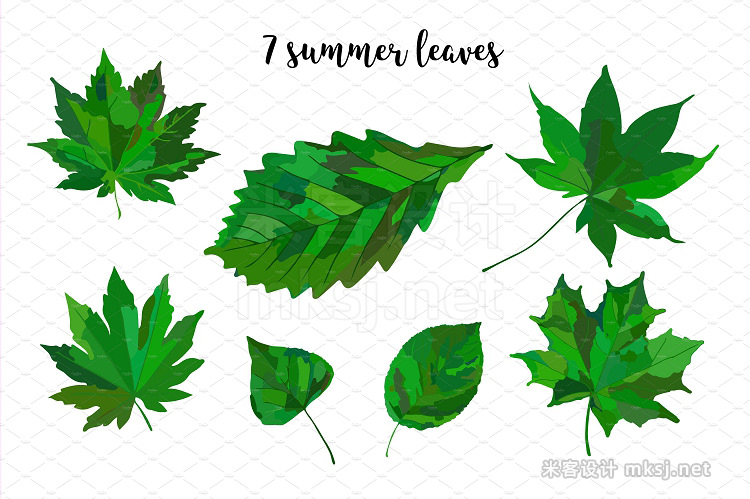 png素材 Freshness of Summer Leaves