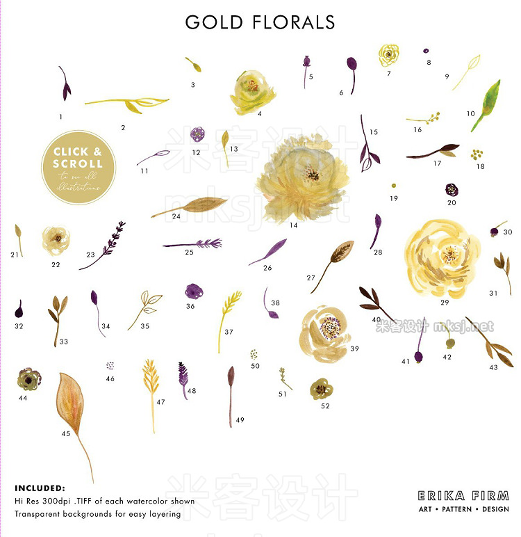 png素材 Golden Plum Floral Watercolors