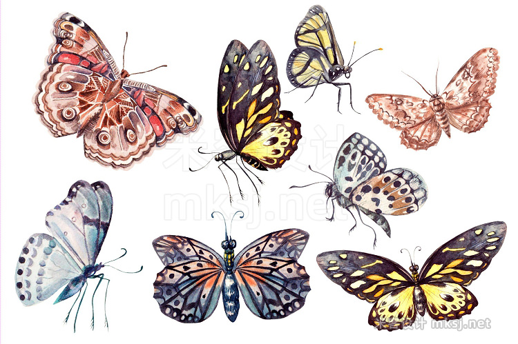 png素材 Beautiful watercolor butterflies