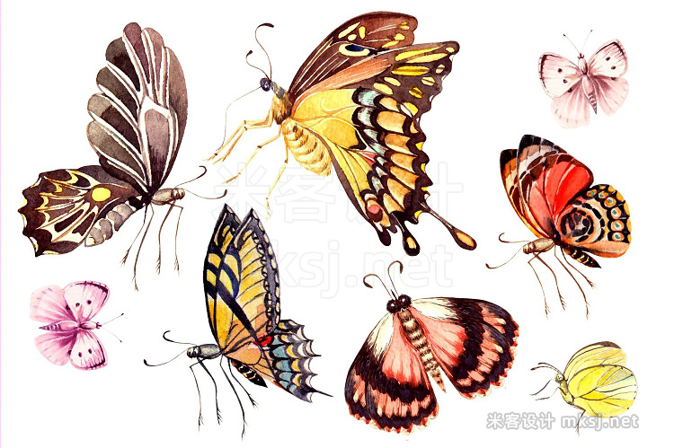 png素材 Beautiful watercolor butterflies
