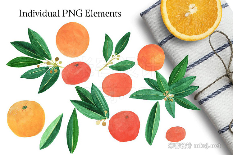 png素材 Fresh Citrus Watercolor Design Kit
