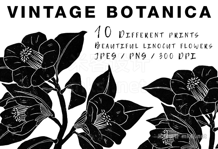 png素材 Vintage botanica