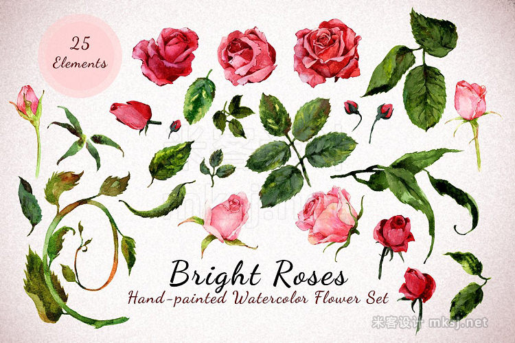 png素材 Bright Roses - Watercolor Floral Set