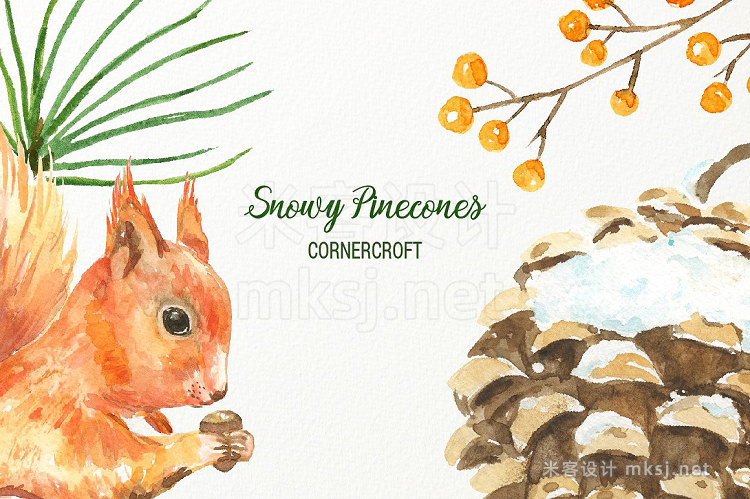 png素材 Snowy Pine Cones Watercolor Clipart