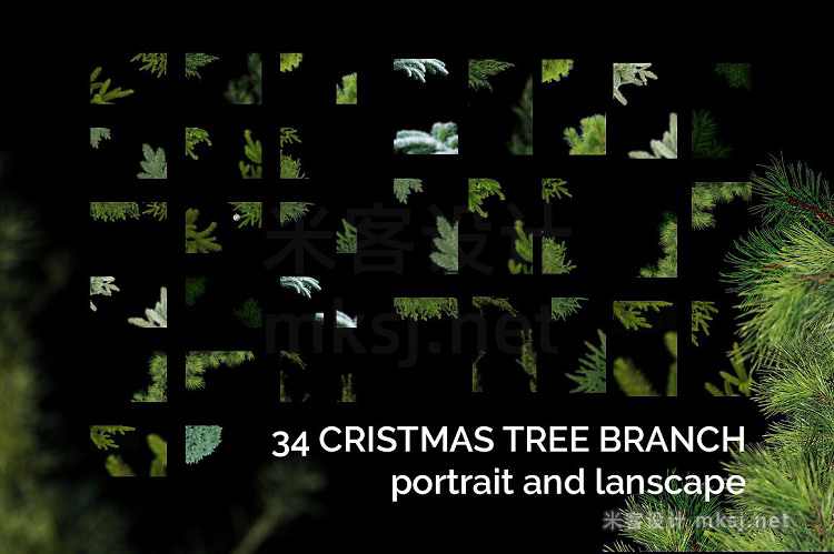 png素材 51 Christmas Tree Branch Clipart