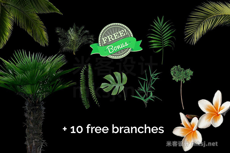 png素材 51 Tropic Tree Branch Photo overlays