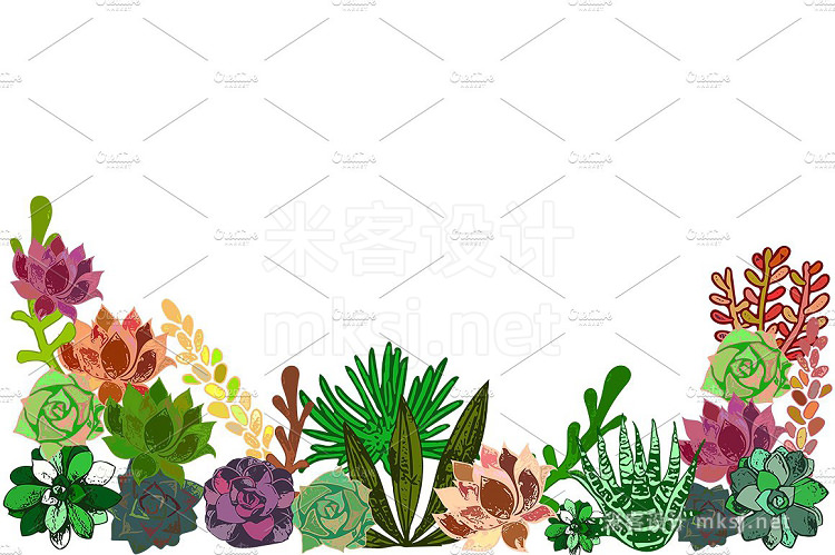 png素材 Succulents Bundle PNG  Patterns