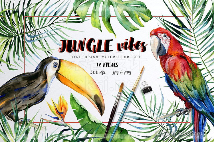 png素材 Jungle vibes set