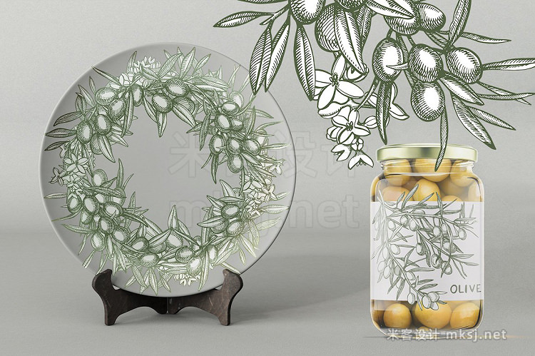 png素材 Olive branches vector illustration