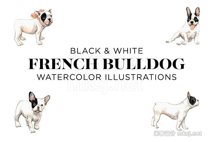 png素材 Black and White French Bulldogs