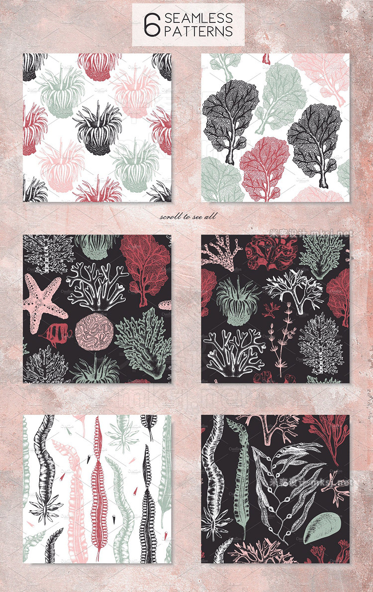 png素材 Vector Seaweeds Collection