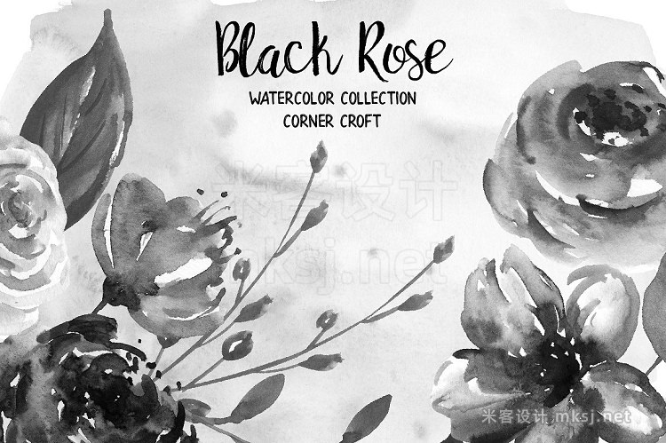 png素材 Watercolor Black Rose Collection