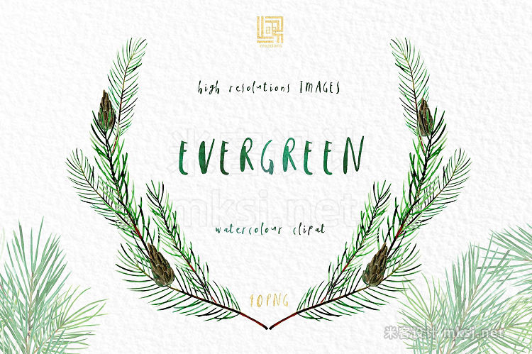 png素材 Pine Watercolor clipart