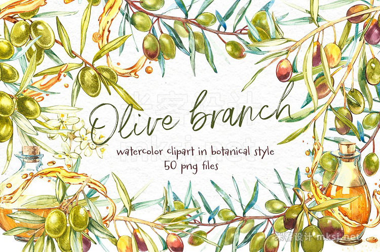 png素材 Olive Watercolor clipart