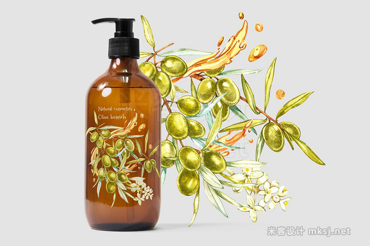 png素材 Olive Watercolor clipart