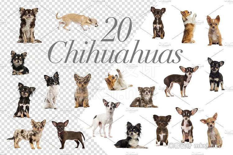 png素材 100 Dogs Bundle - Cut-out Pictures