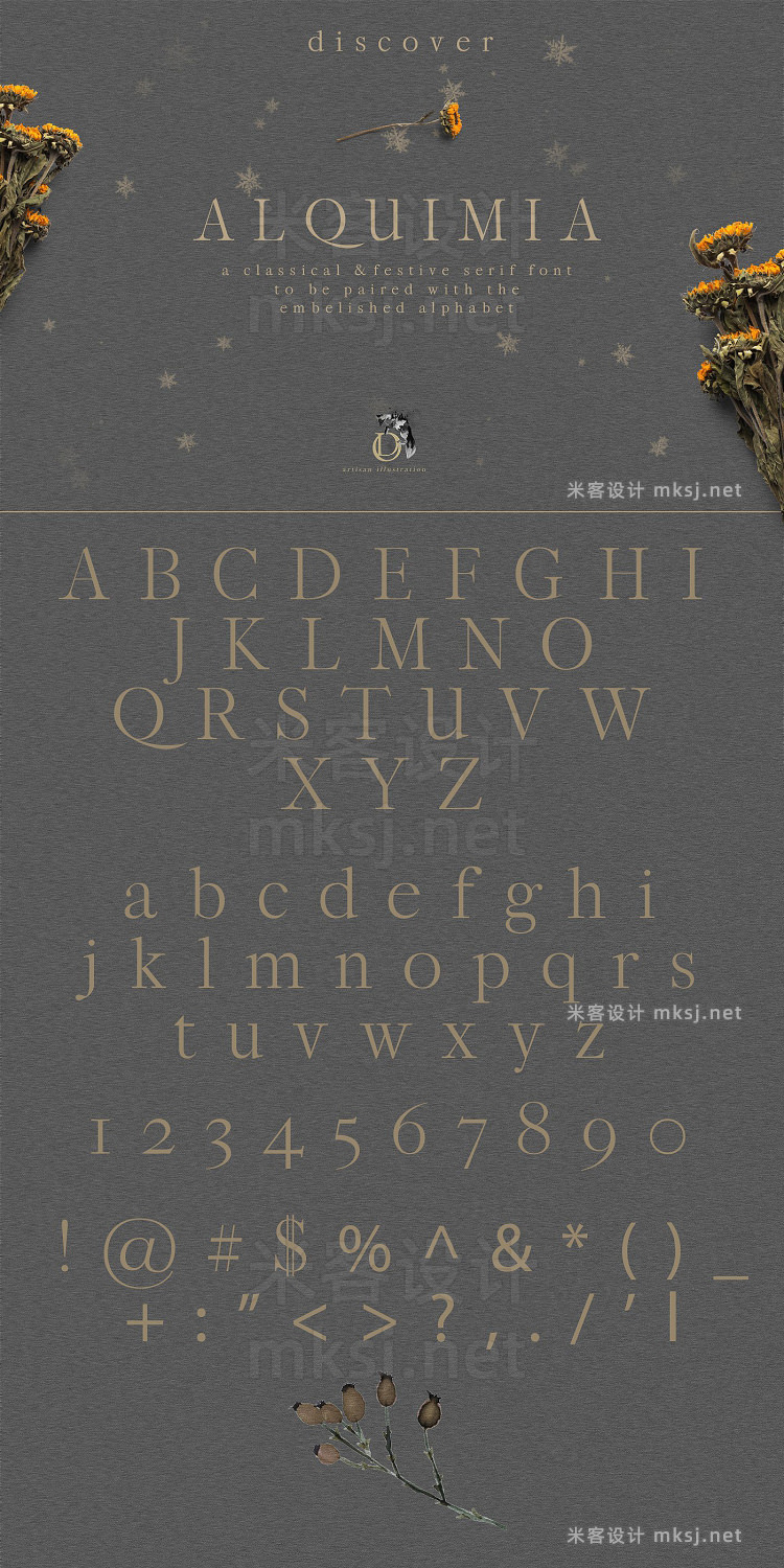 png素材 Frostbound Festive Edition  font