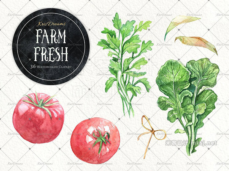 png素材 Farm Fresh Watercolor Clipart