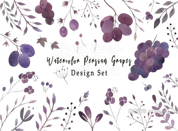 png素材 Watercolor Persian Grapes