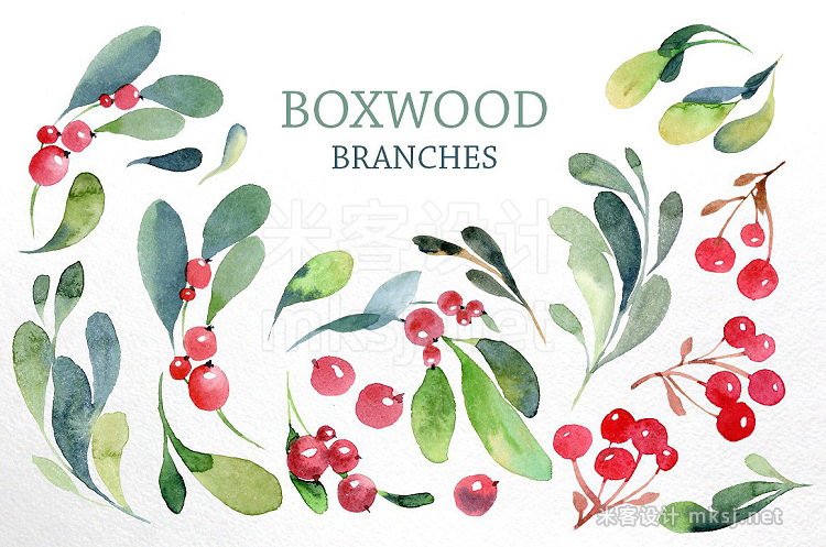 png素材 Watercolor branches and berries