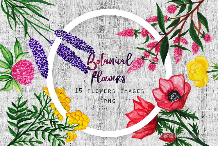png素材 Watercolor Botanical Flowers