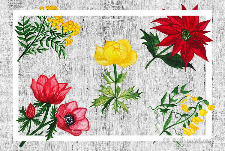 png素材 Watercolor Botanical Flowers