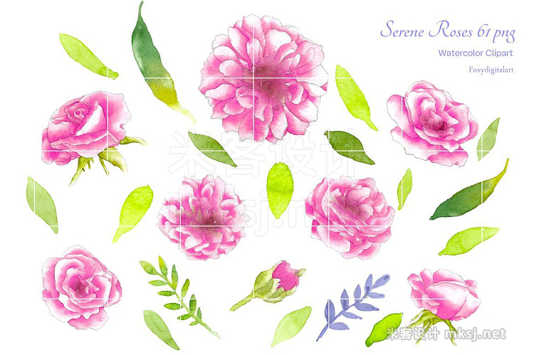 png素材 Pink Roses Watercolor Flowers CL59