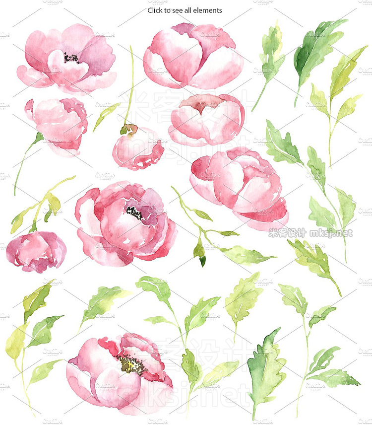 png素材 Pink watercolor peony PNG set