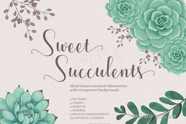 png素材 Sweet Succulents Design Set