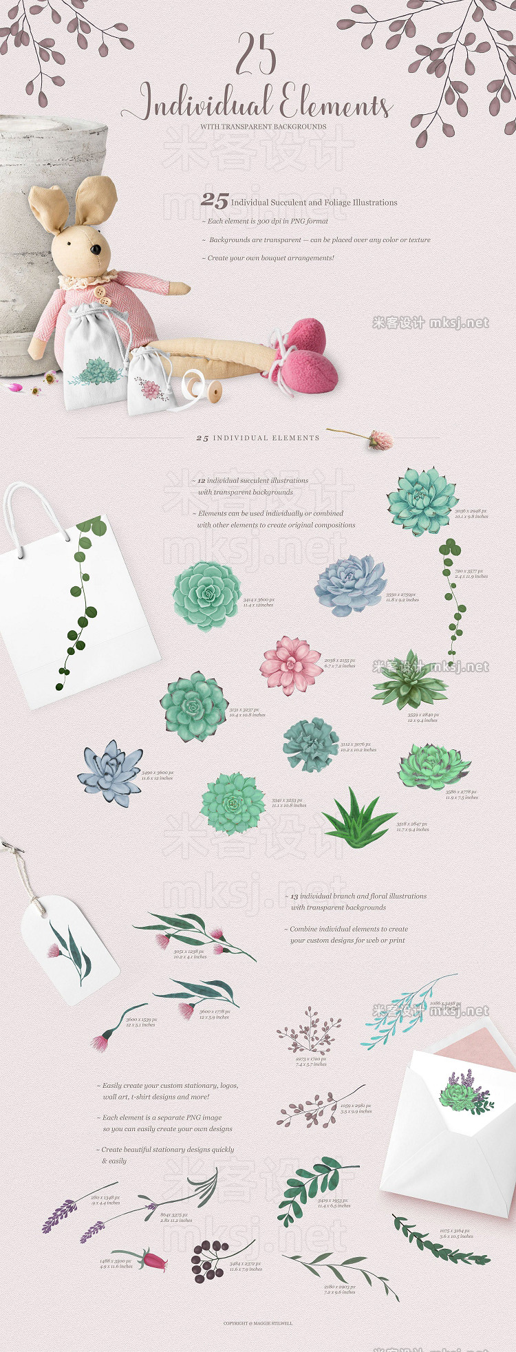 png素材 Sweet Succulents Design Set